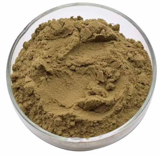 Herbway Factory Direct Sale 4% Echinacosides Herbal Extract Powder Echinacea Purpurea Extract