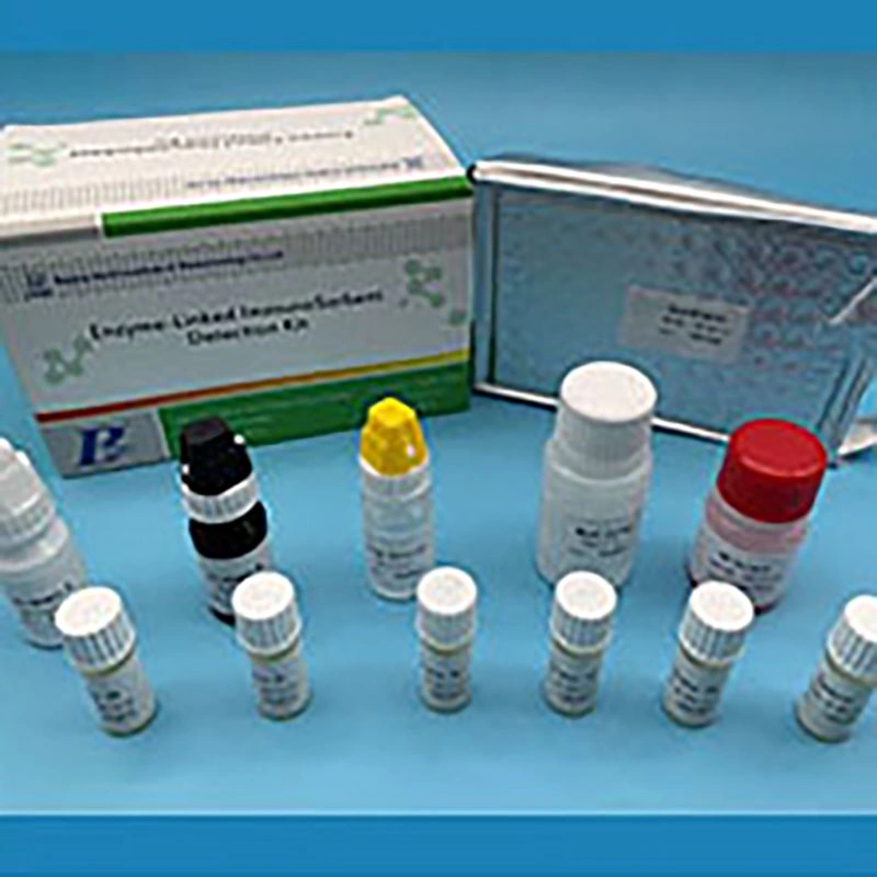 96t Elisa Aassay Tuberculosis Interferon-Gamma Assay Kits