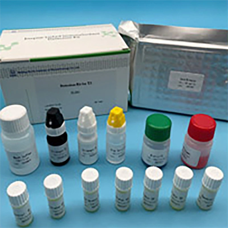 Manufactory and Trading Combo Immunoassay Clinical Reagent Diagnostic Elisa Kits for Estradiol /E2