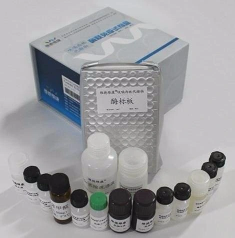 Biobase Clinical Diagnostic Elisa Kits HIV HCV Hbsag Hormone Rapid Test Kits and Reagents