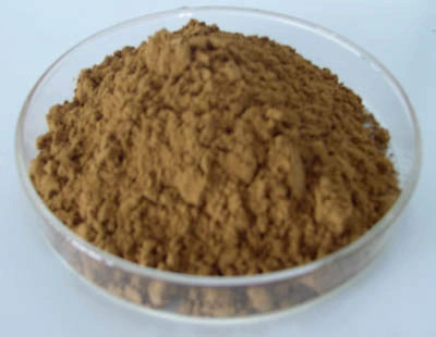 Maiitake Mushroom Extract Straight Powder for Functional Food