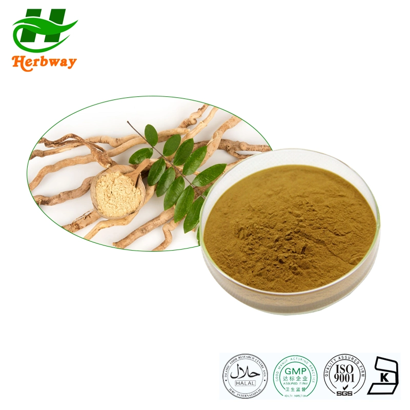 Herbway Echinacea Purpurea Extract, Best Price, Hot Sale Purple Coneflower, High Quality and High Efficiency Manufacturer, Supplier From China, Plant Extract