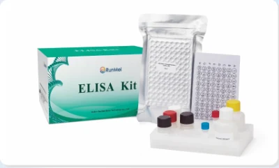 Anti-Tissue Transglutaminase Elisa Kit