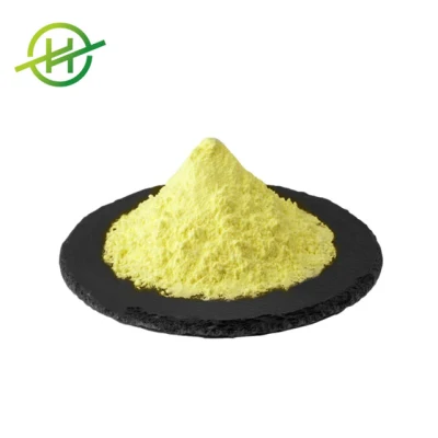 Hot Sale Pure Baicalensis Extract Baicalin Powder CAS 21967-41-9
