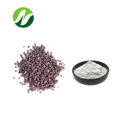 High Quality 10%~95% Piperine Powder Black Pepper Extract