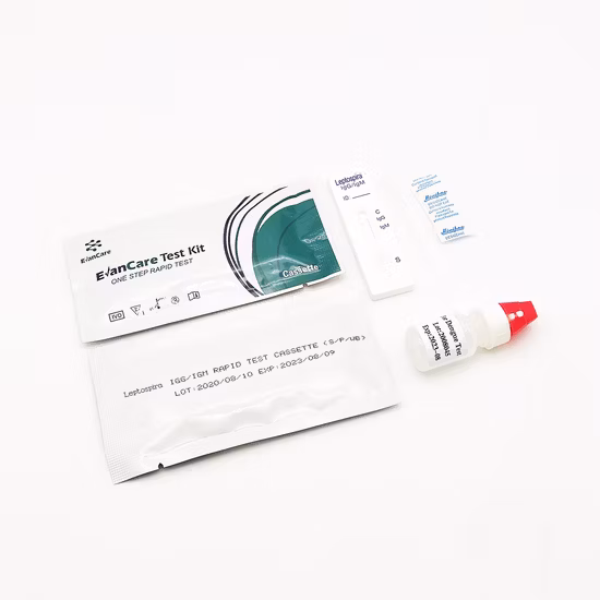 Ddddk-Tag Mouse Antibody