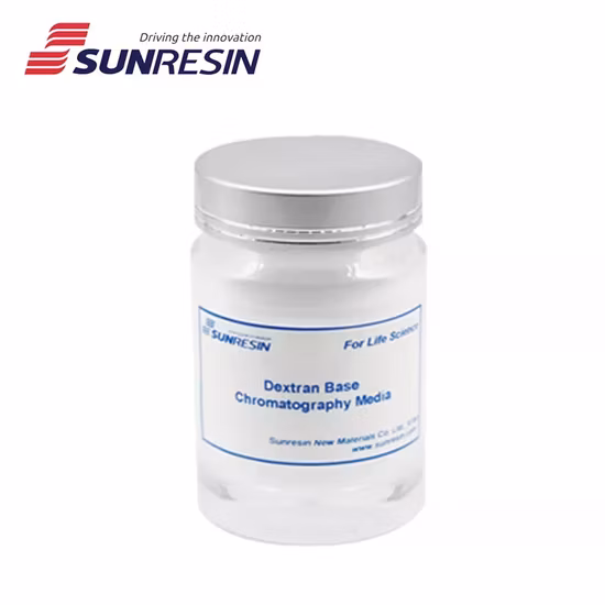 CE, ISO9001 Approved Fxr2 (E576) Polyclonal Antibody