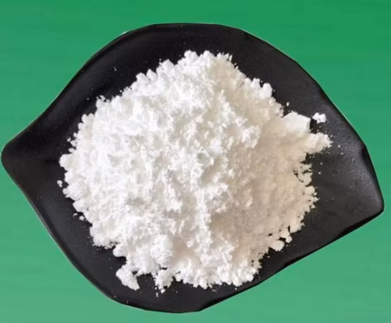 Androgen Receptor Pab