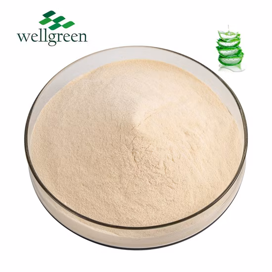 100% Pure Aloe Extract 200: 1 Powder Aloe Vera Extract Aloe Extract Powder