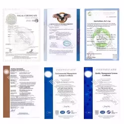CE, ISO9001 Approved Fxr2 (E576) Polyclonal Antibody