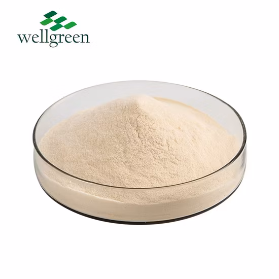 100% Pure Aloe Extract 200: 1 Powder Aloe Vera Extract Aloe Extract Powder