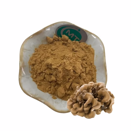 30% Polysaccharide Maitake Mushroom Extract Grifola Frondosa Extract Powder