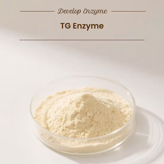 Food Grade High Quality Flavor Enzyme Aminopeptidase for Protein Hydrolyzate