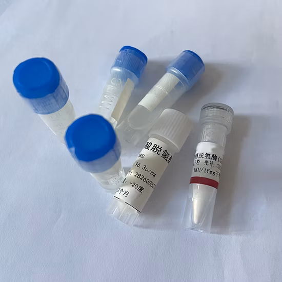 Neutrophil Gelatinase-Associated Lipocalin (NGAL) (human) Elisa Kit Early Diagnosis of Acute Kidney Injury