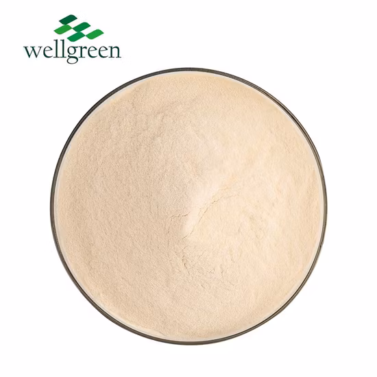 100% Pure Aloe Extract 200: 1 Powder Aloe Vera Extract Aloe Extract Powder