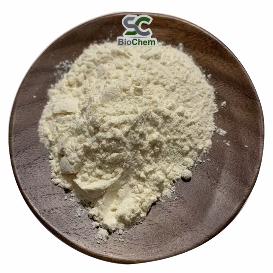 High Quality 10%~95% Piperine Powder Black Pepper Extract